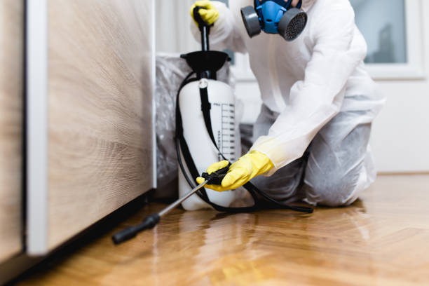 Best Best Pest Control Companies  in Mansfield, MO