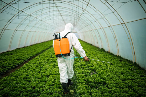 Best Residential Pest Control  in Mansfield, MO