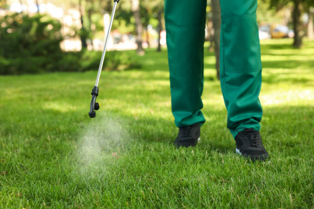 Best Cockroach Control Services  in Mansfield, MO