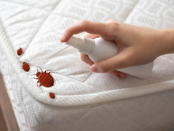  Mansfield, MO Pest Control Pros