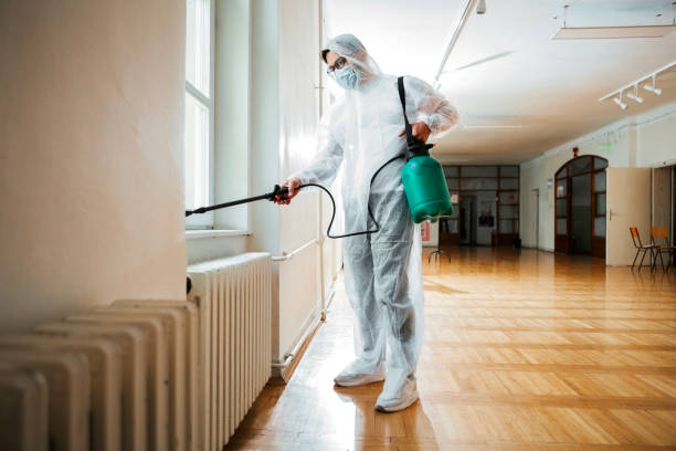 Best Termite Control Services  in Mansfield, MO