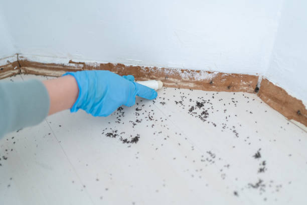 Best Wildlife Control Services  in Mansfield, MO