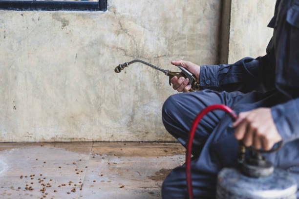 Trusted Mansfield, MO Pest Control Experts